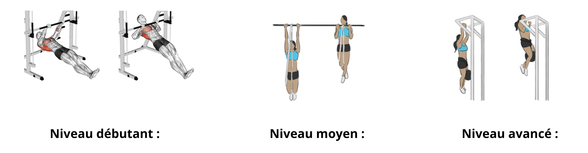 Les différents niveaux exercices traction 