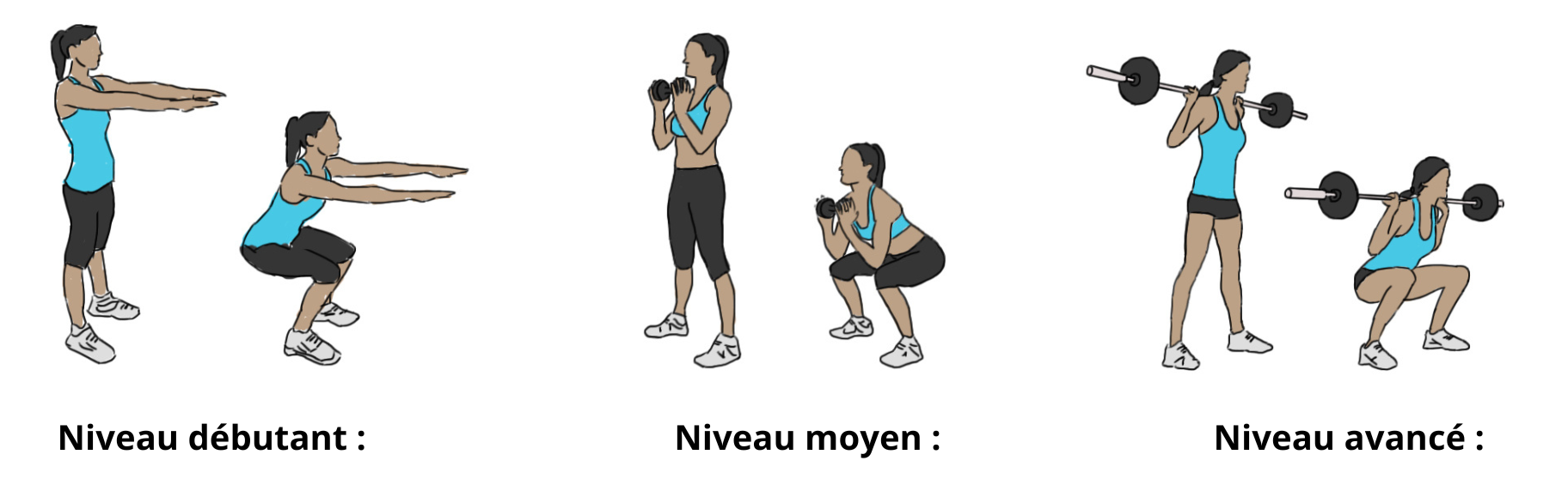 Les différents niveaux exercices squat